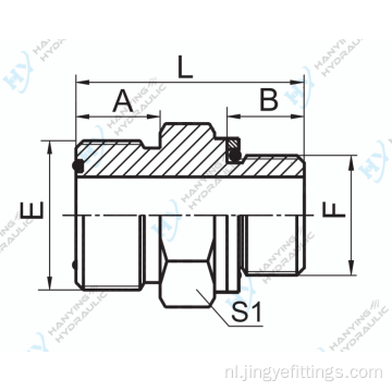 Orfs mannelijke o-ring/bsp mannelijke o-ring